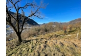 IMG_4673x