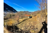 IMG_4680x