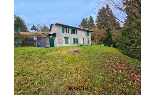 20250414_095327xCOLOR