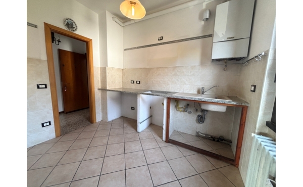 IMG_2157x
